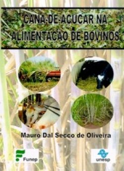Cana-de-açúcar na alimentação de bovinos - Imagem 2