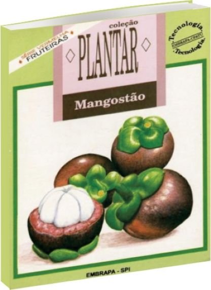 Coleção Plantar: mangostão