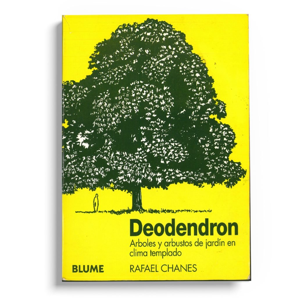 Deodendron arboler y arbustos de jardin en clima templado