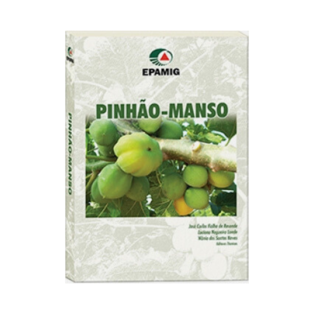 Pinhão-manso