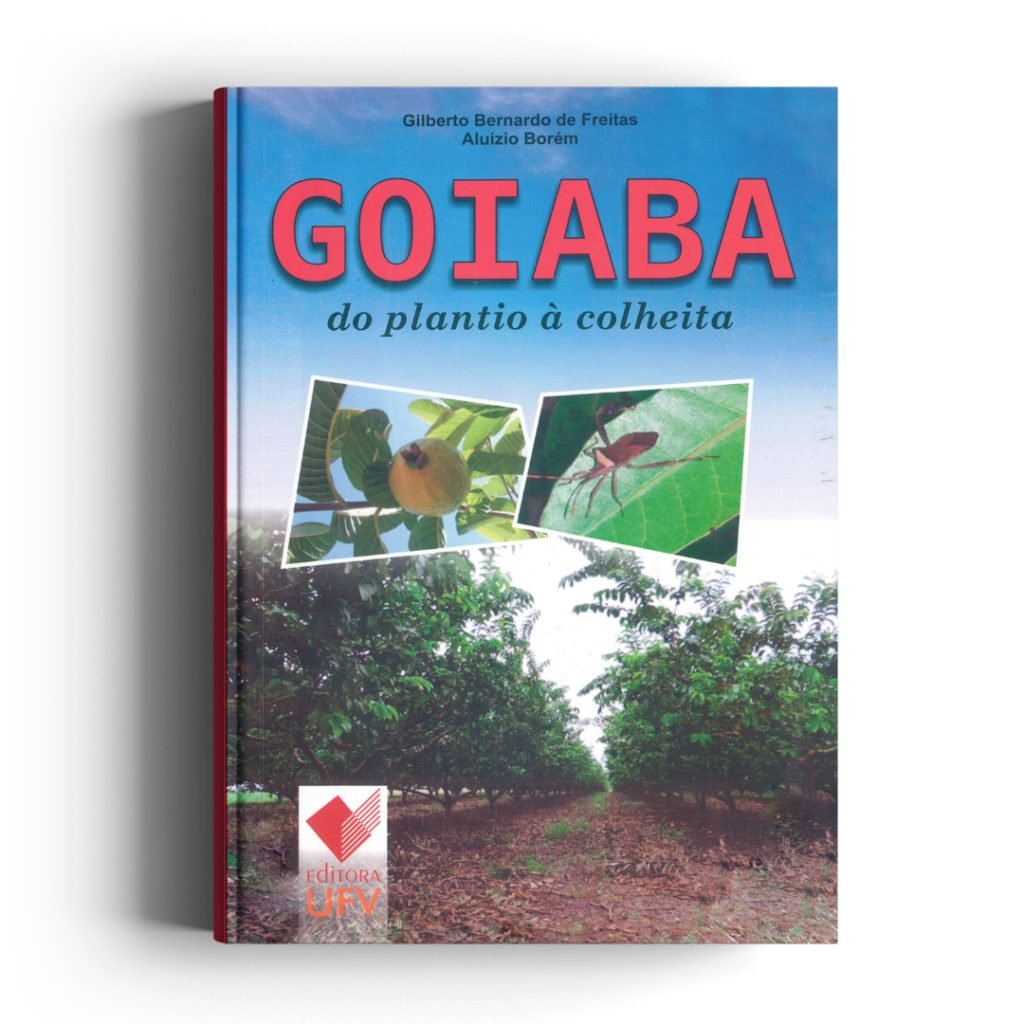 Goiaba do plantio à colheita