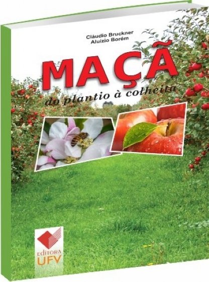 Maçã: do plantio à colheita