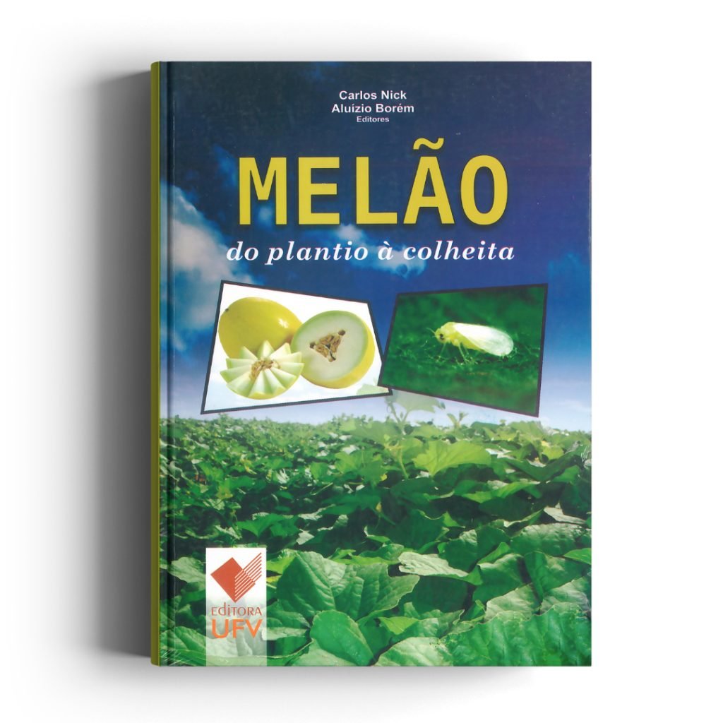 Melão do plantio à colheita