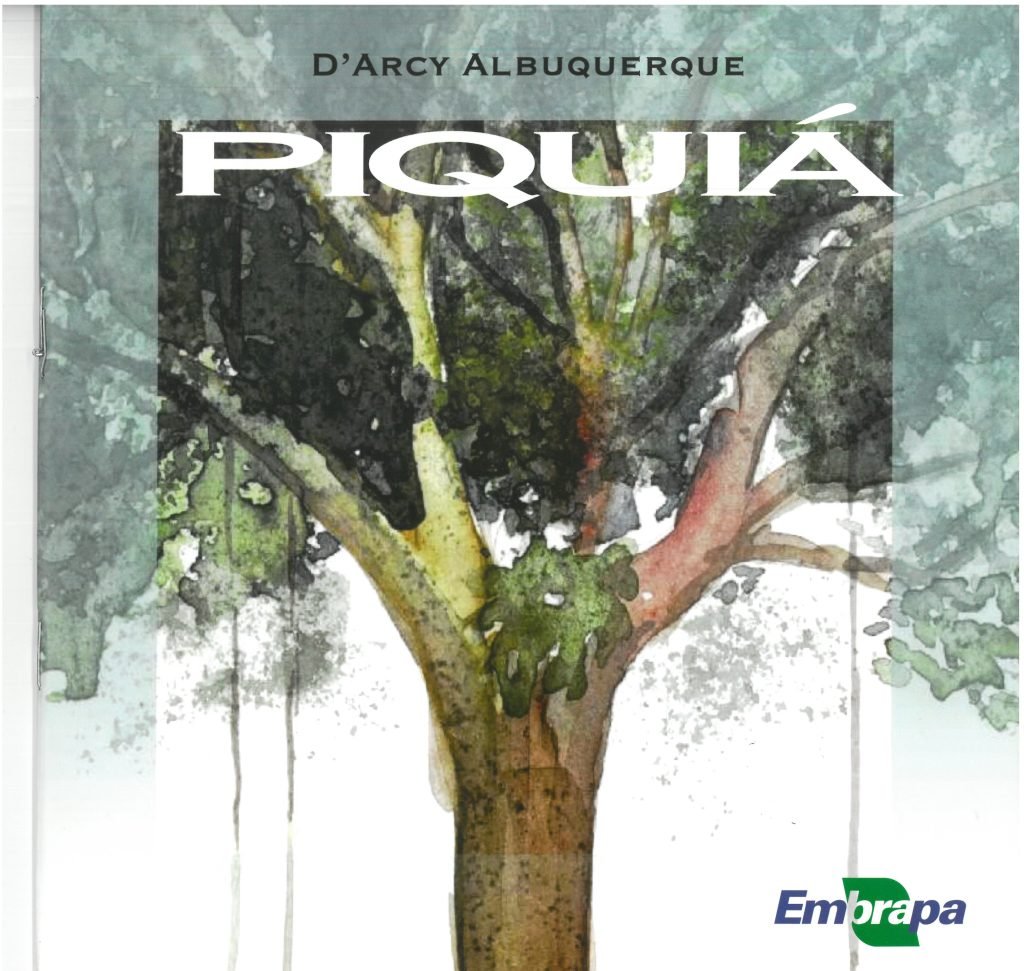 Piquiá