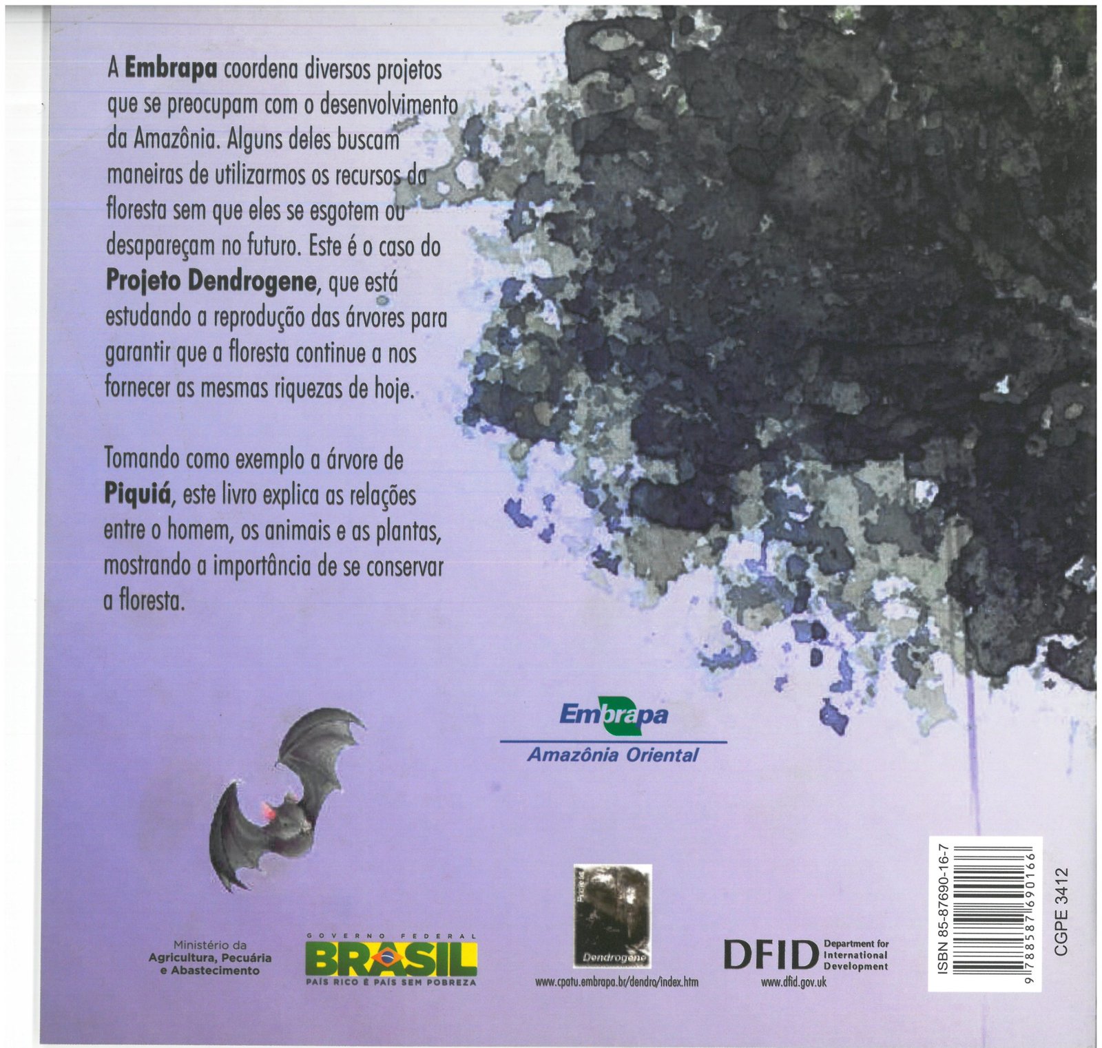Piquiá - Imagem 2