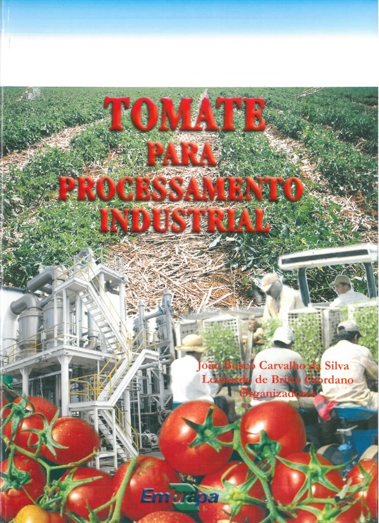 Tomate para processamento industrial
