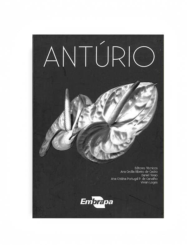 O antúrio