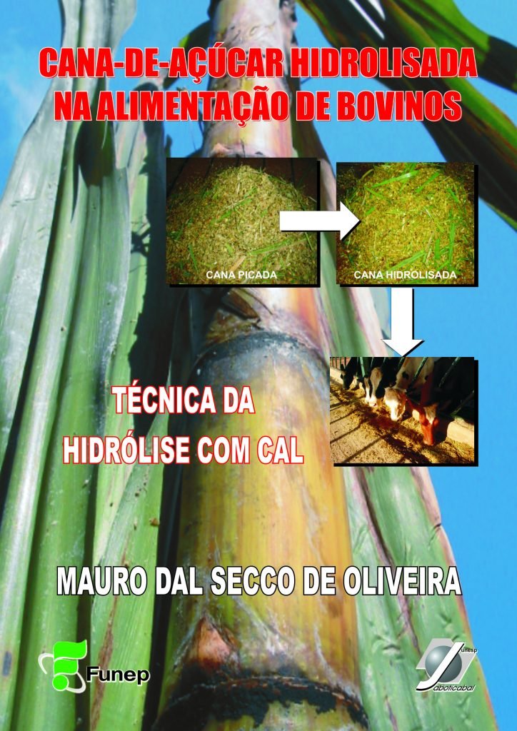 Cana-de-açúcar hidrolisada na alimentação de bovinos