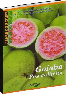 Goiaba pós-colheita - Frutas do Brasil