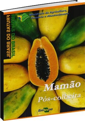 Mamão pós-colheita - Frutas do Brasil
