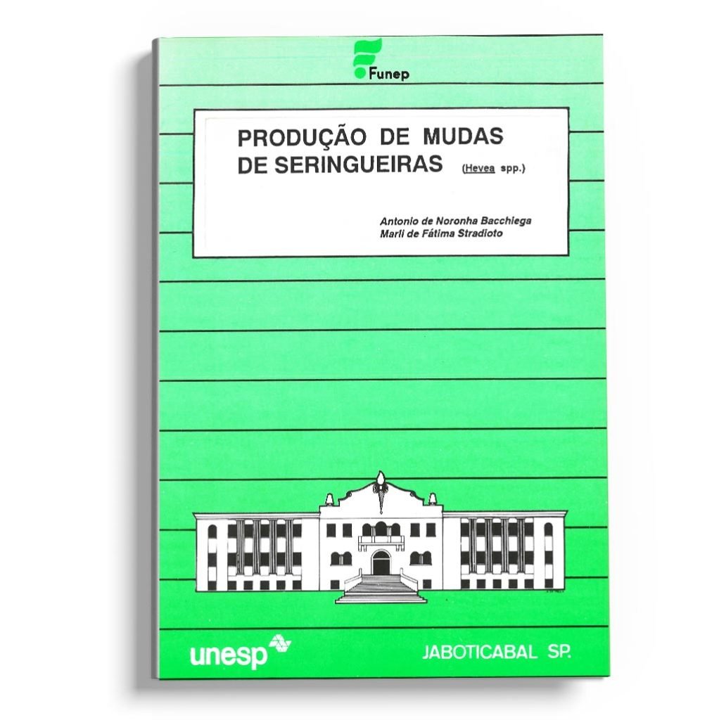 Produção de mudas de seringueiras