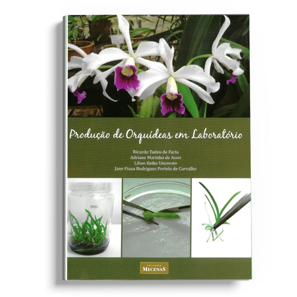 Produção de orquídeas em laboratório