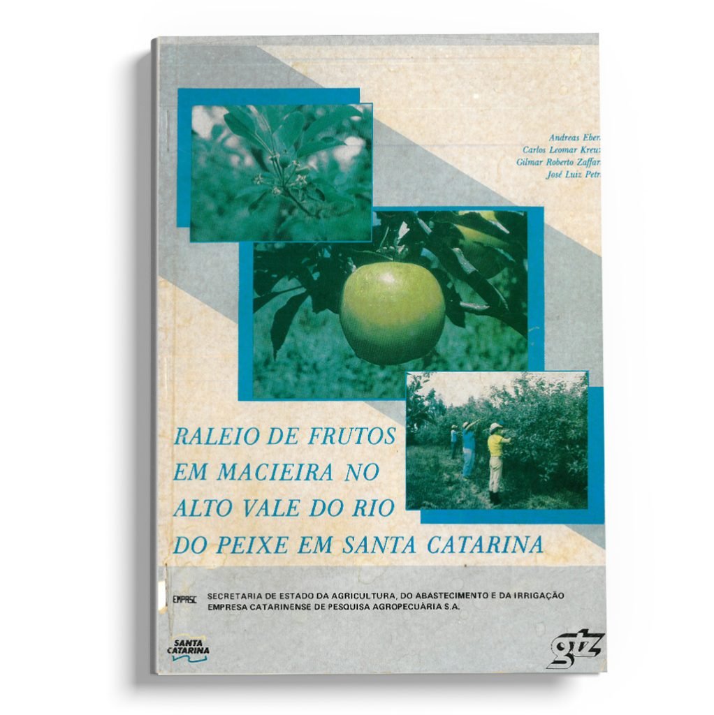 Raleio de frutos em macieira no Alto Vale do Rio do Peixe em Santa Catarina