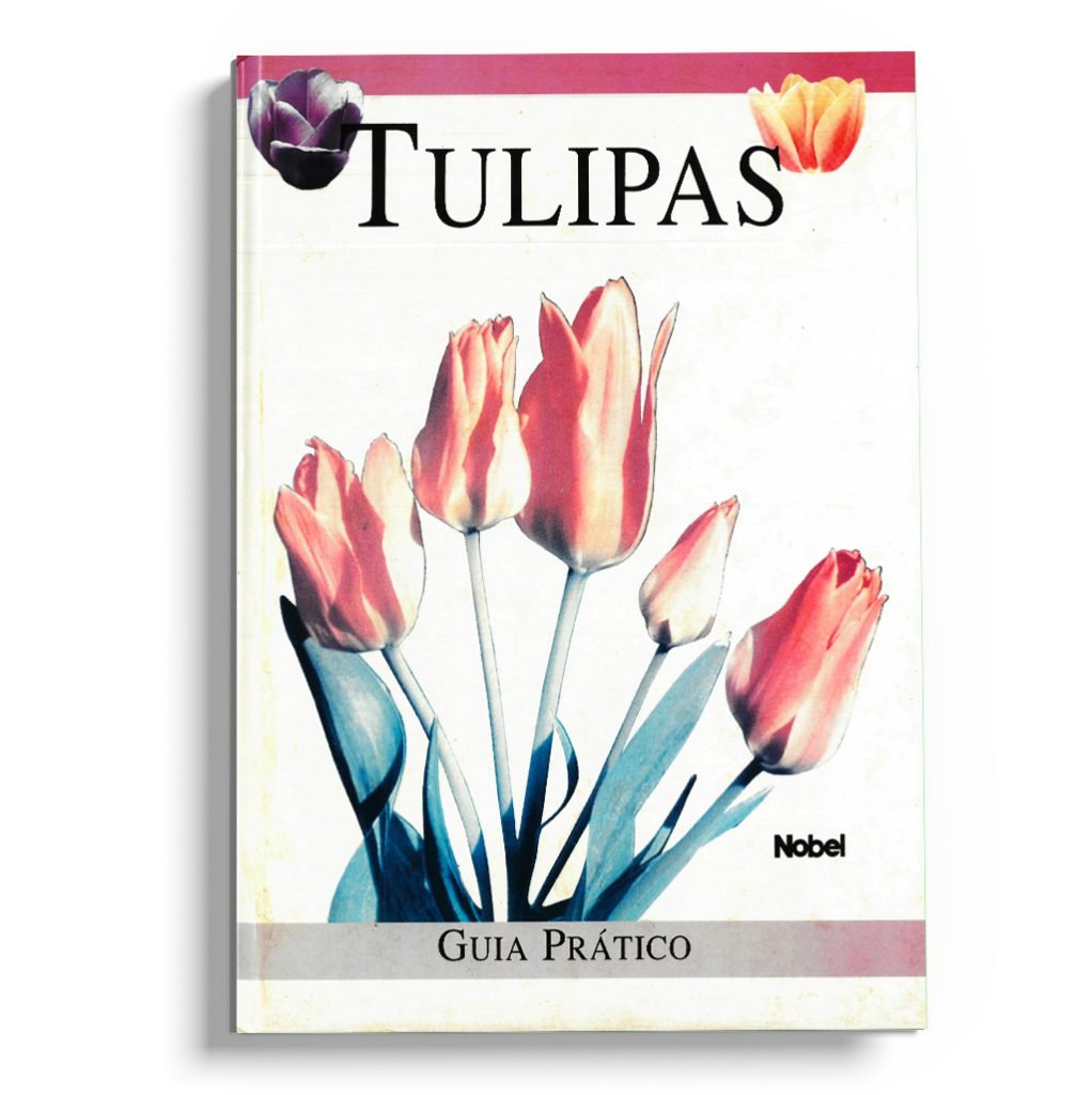 Tulipas - guia prático